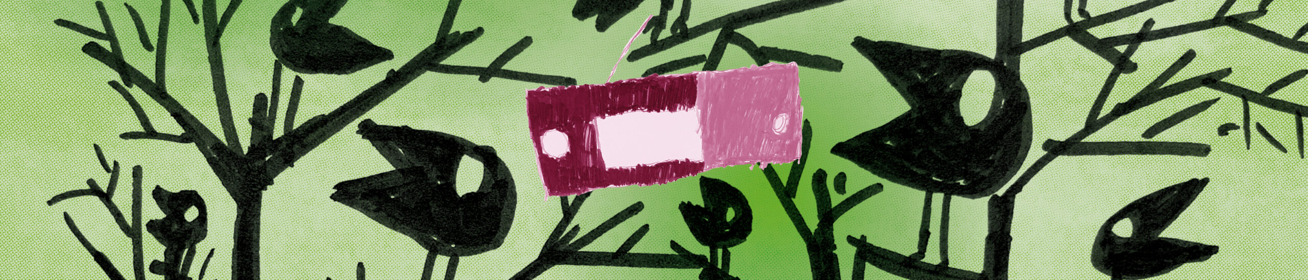 FFK_ueberUns_schmalesBanner4 schmales Kopfbanner: Corax-Raben mit Radio